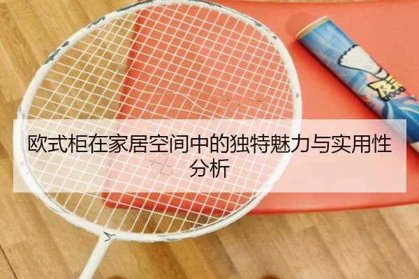欧式柜在家居空间中的独特魅力与实用性分析